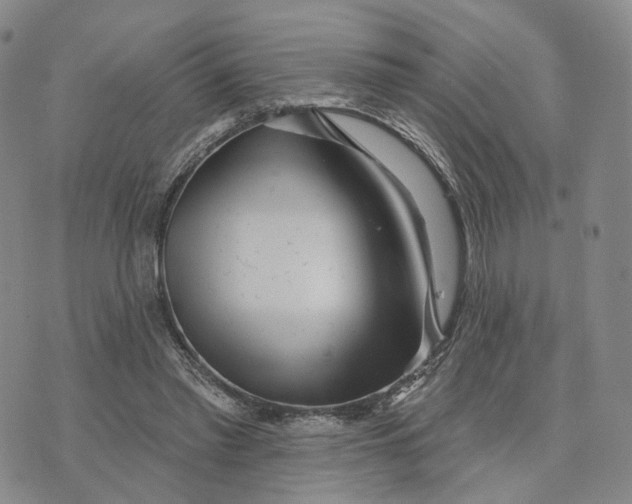X0000076260397200610191719