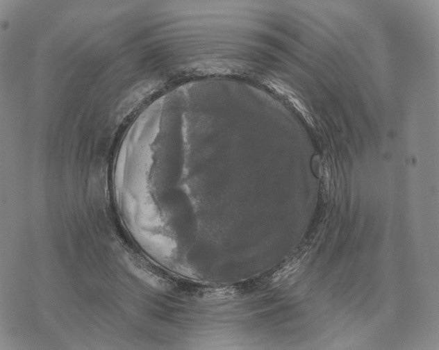 X0000076260398200610191719