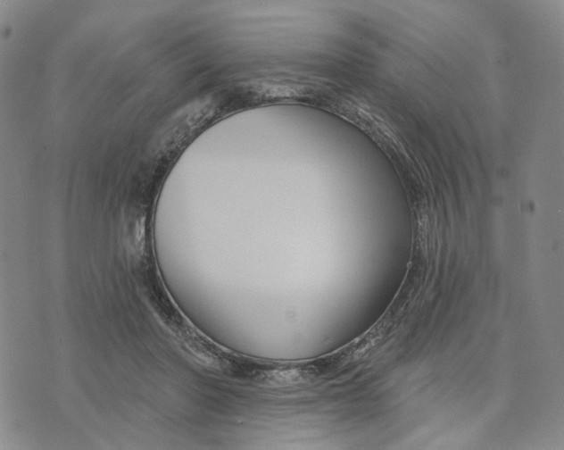 X0000076260406200610191719