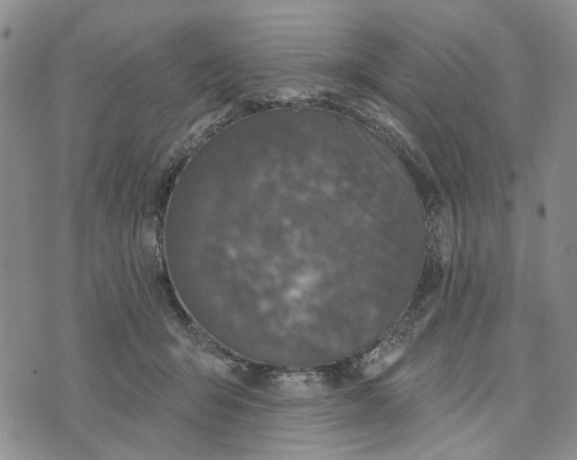 X0000076260415200610191719