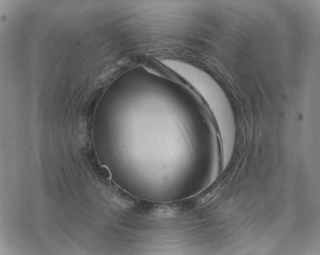 X0000076260416200610191719