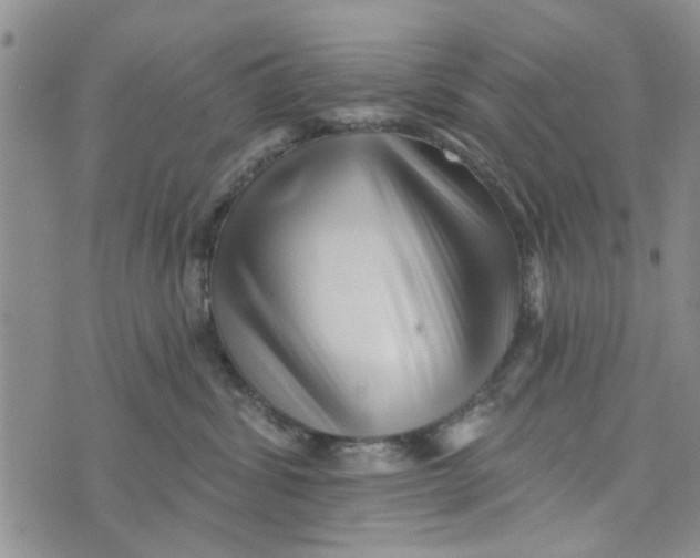 X0000076260428200610191719