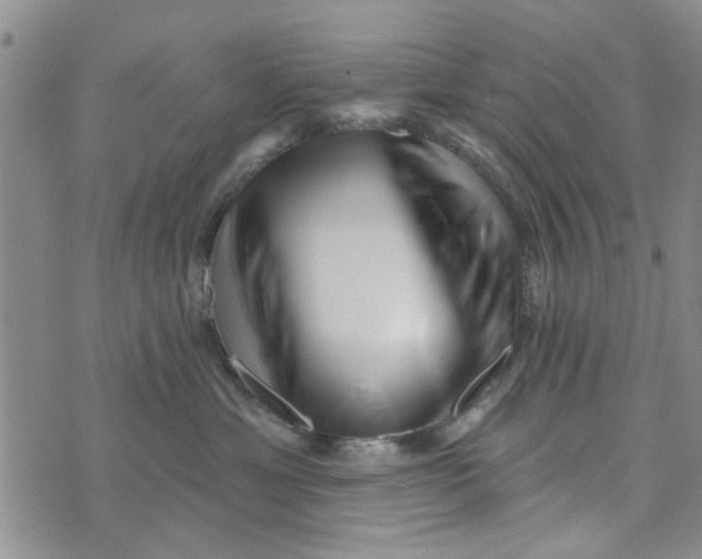 X0000076260429200610191719