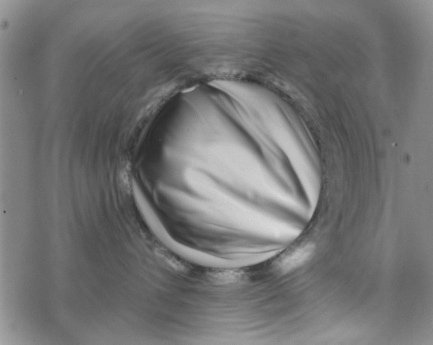 X0000076260432200610191719