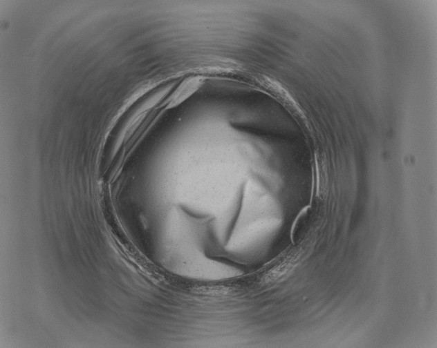 X0000076260435200610191718