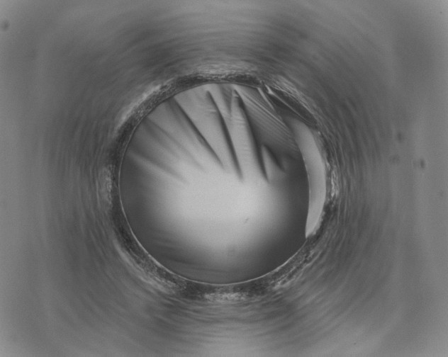 X0000076260448200610191718