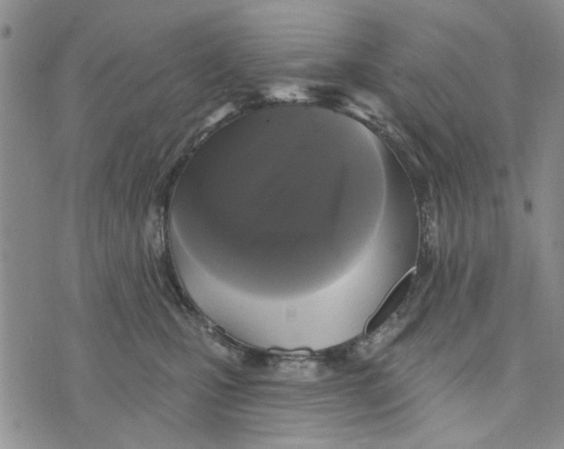 X0000076260471200610191718