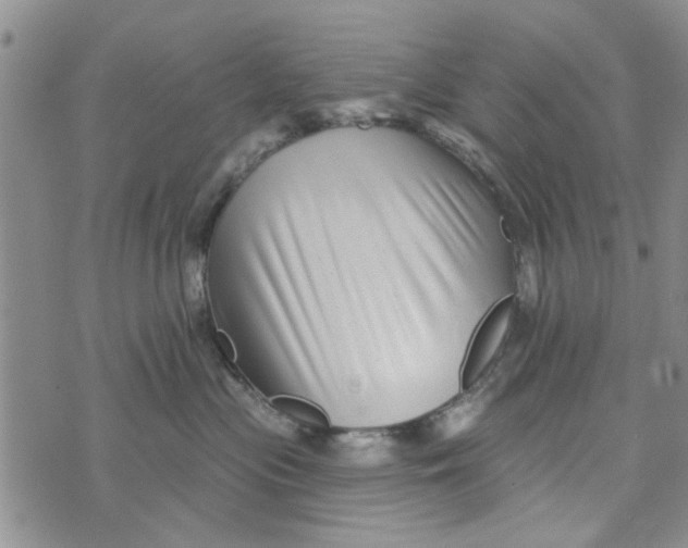 X0000076260477200610191719