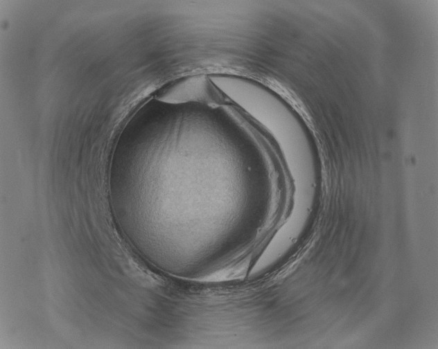 X0000076260481200610191718