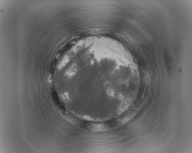 X0000076260507200610191717