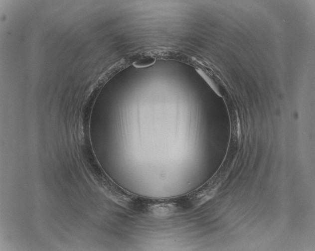 X0000076260508200610191717