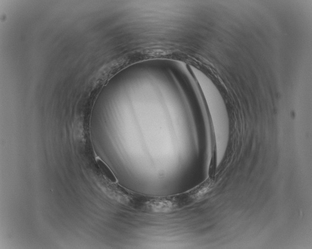 X0000076260512200610191717
