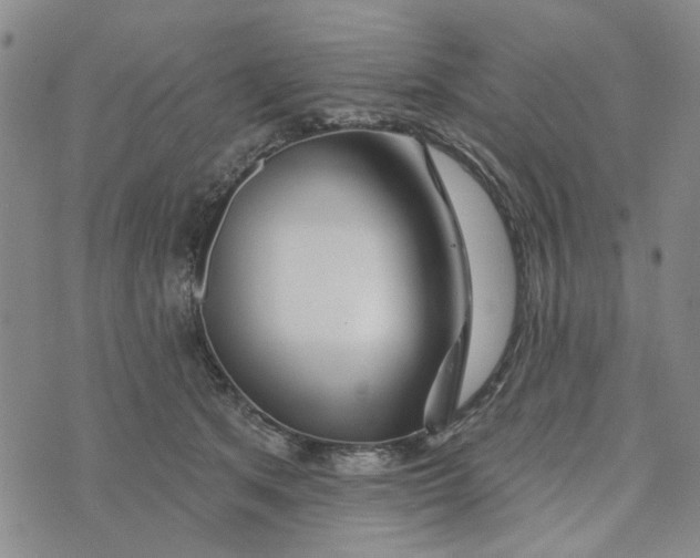 X0000076260513200610191717