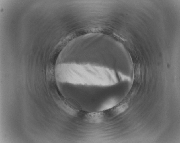 X0000076260526200610191717