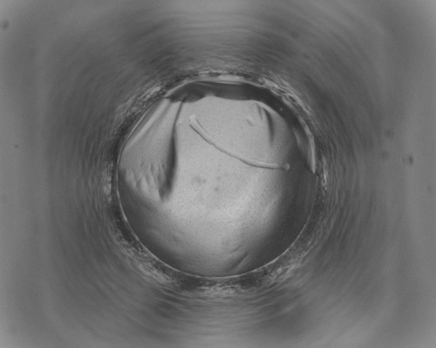 X0000076260545200610191716