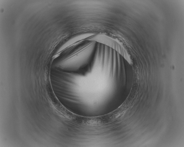 X0000076260546200610191717
