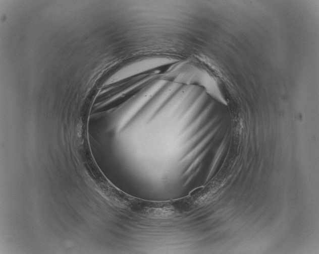 X0000076260548200610191717