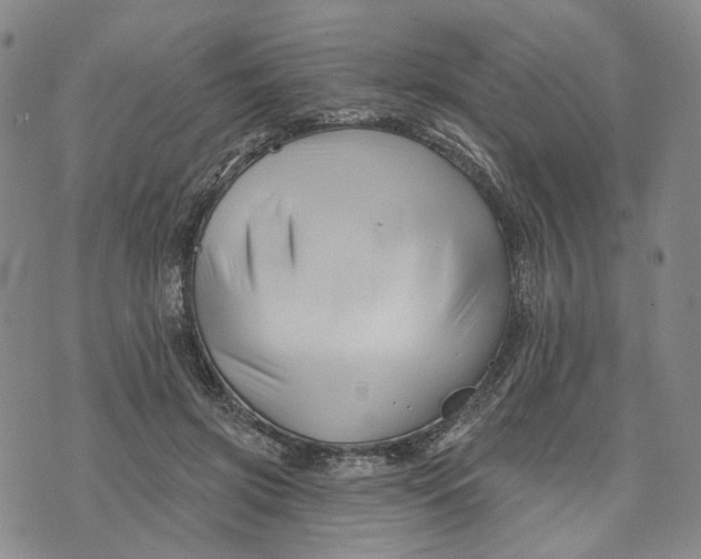 X0000076260549200610191717