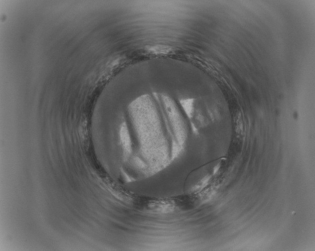 X0000076260559200610191717