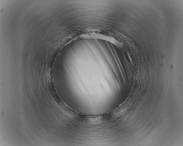 X0000076260560200610191717