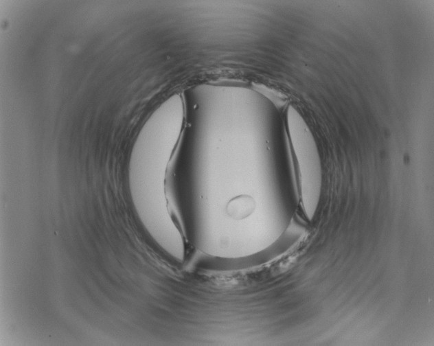 X0000076260566200610191717