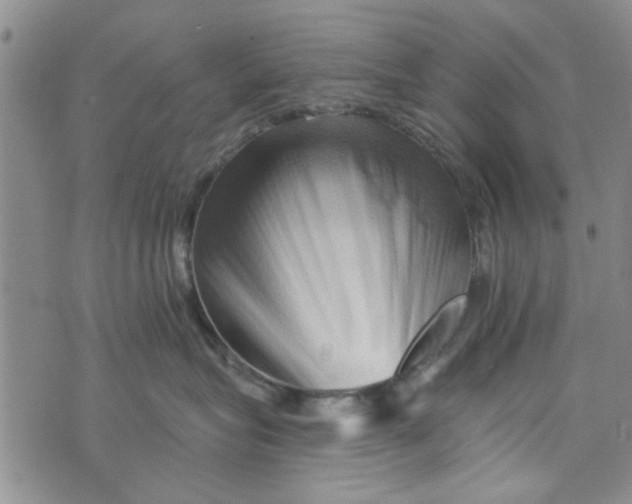X0000076260575200610191717