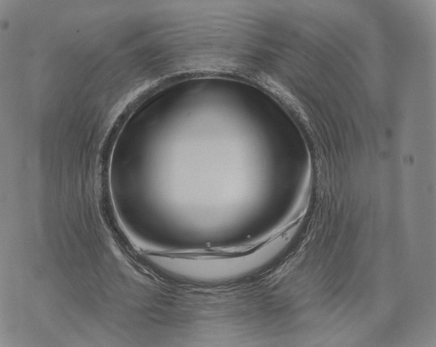 X0000076260580200610191716