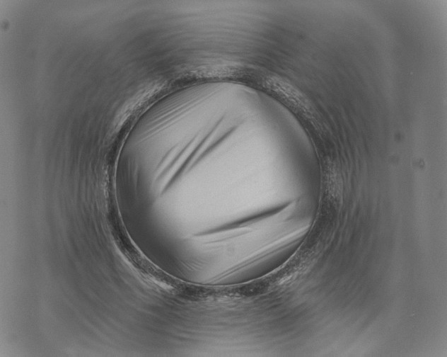 X0000076260586200610191716