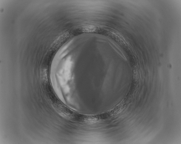 X0000076260598200610191716