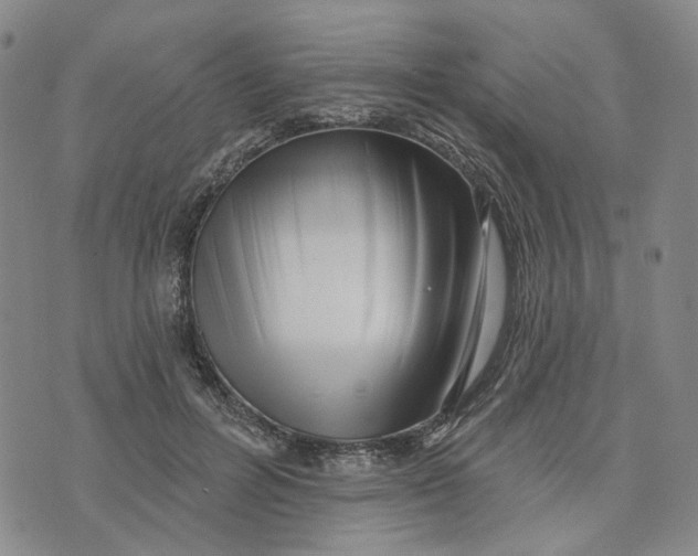 X0000076260600200610191716