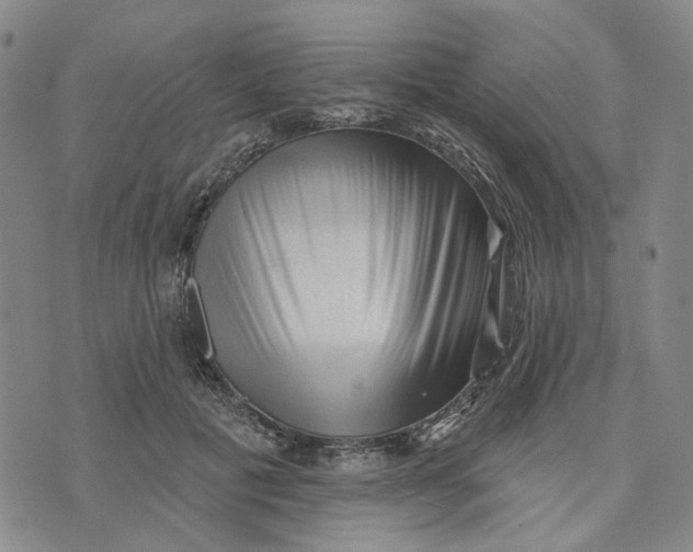 X0000076260601200610191716