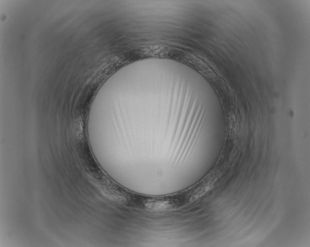 X0000076260602200610191716