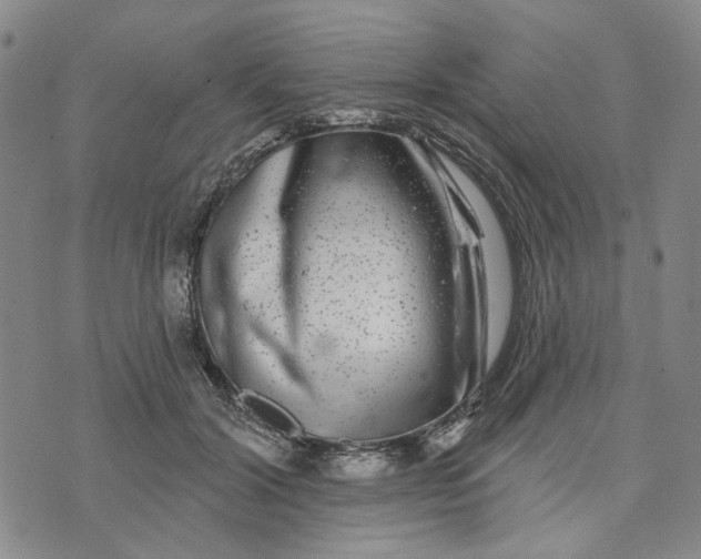 X0000076260604200610191716