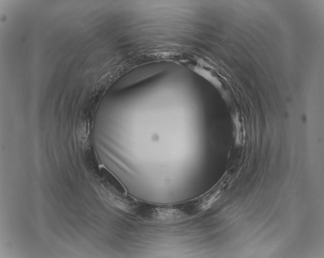 X0000076260605200610191716