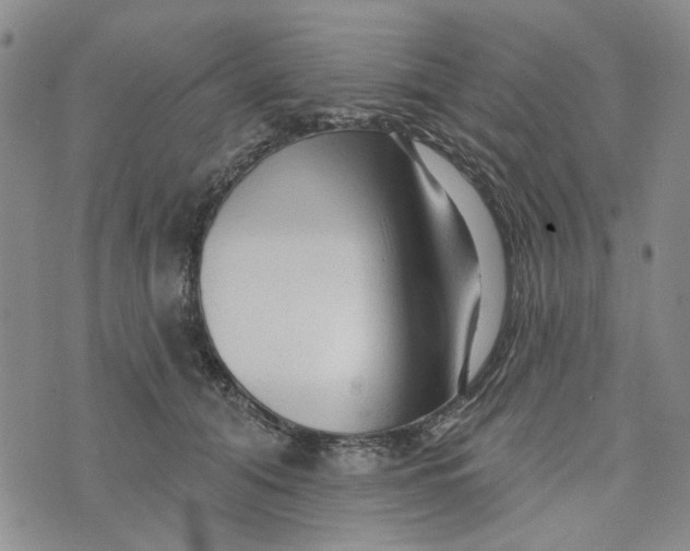 X0000076260608200610191716