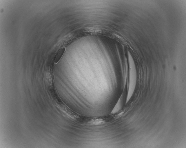 X0000076260609200610191716