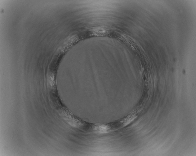 X0000076260610200610191716