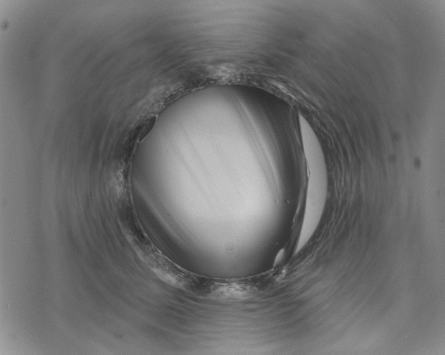 X0000076260611200610191716
