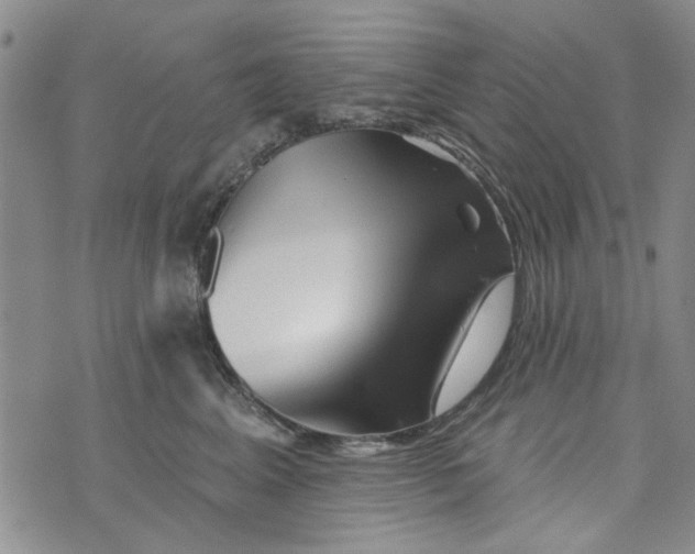 X0000076260617200610191716