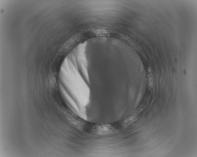 X0000076260618200610191716