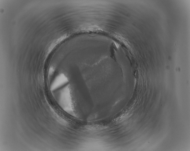 X0000076260630200610191715