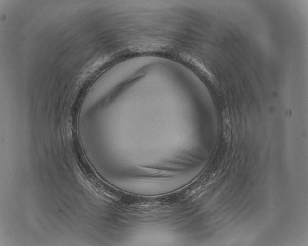 X0000076260631200610191715