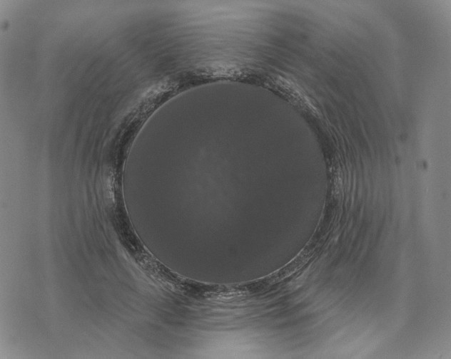 X0000076260643200610191715