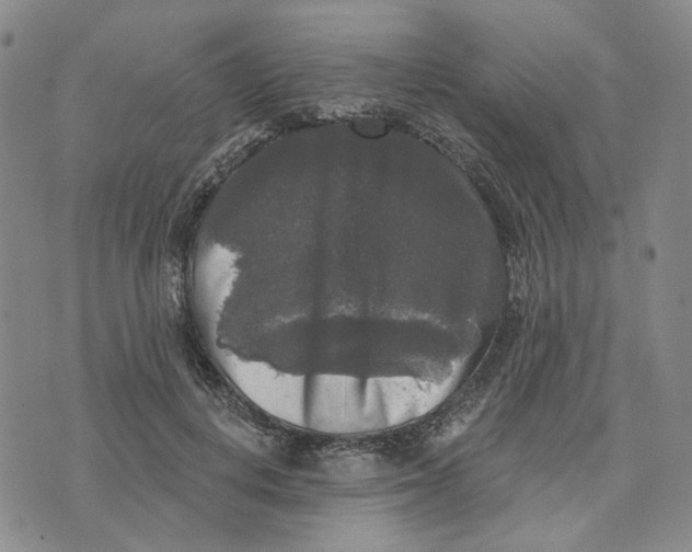 X0000076260648200610191715