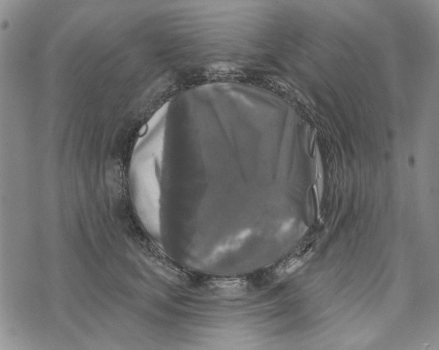 X0000076260659200610191715