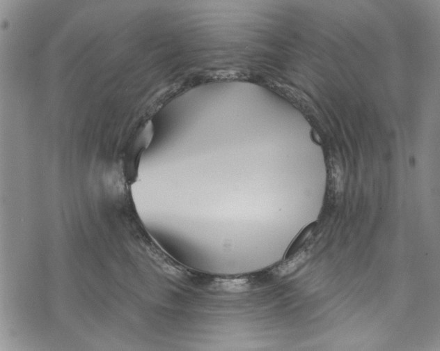 X0000076260665200610191715