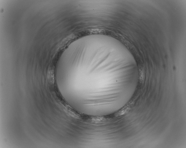 X0000076260666200610191715