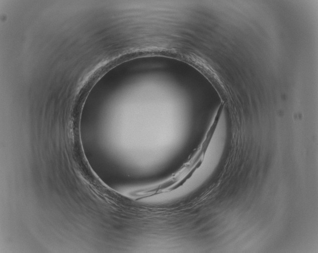 X0000076260676200610191715