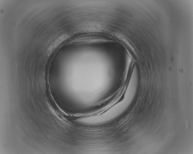 X0000076260677200610191715