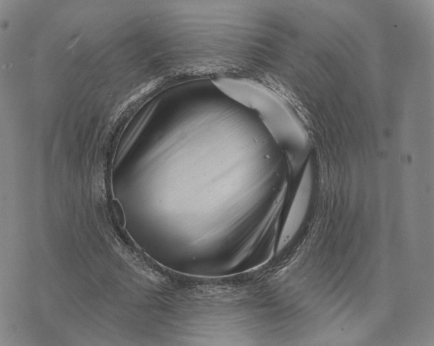 X0000076260681200610191714